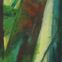 Click to see full image of Undergrowth